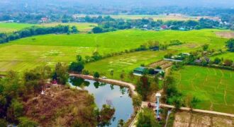 Land 47 Rai แม่ออน Chiang Mai