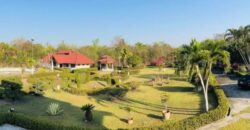 House for Rent 4 bedroom San Kamphaeng Chiang Mai
