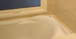 2 Bedroom Condo for Rent – BTS Phrom Phong Perfect for Expat Long Term Living Bangkok