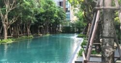 Condo for Rent 2 bedroom at Sukhumvit 36 BTS Thonglor Bangkok