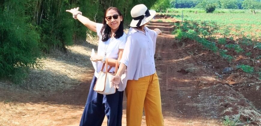 ขายด่วน!! ขายถูก! ที่ดิน เขาใหญ่ 8 ไร่ ไร่ละ 1.8 ล้าน ที่สวย ทำเลดี สาธารณูปโภคครบ