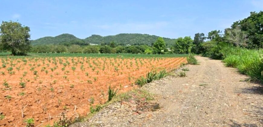 ขายด่วน!! ขายถูก! ที่ดิน เขาใหญ่ 8 ไร่ ไร่ละ 1.8 ล้าน ที่สวย ทำเลดี สาธารณูปโภคครบ