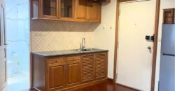 Cat Friendly 1-Bedroom Condo for Rent – Ploenchit Best Location Bangkok