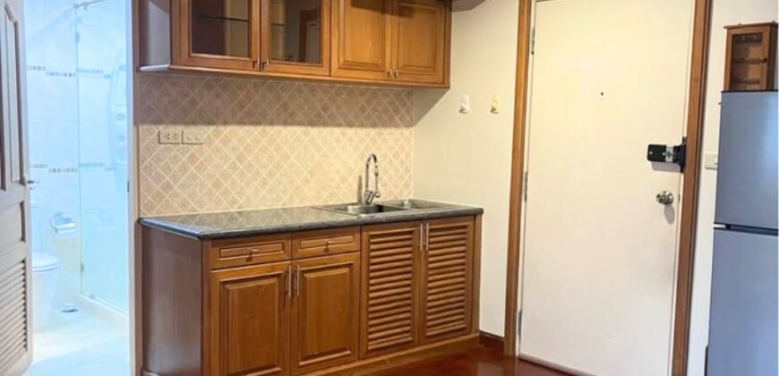 Cat Friendly 1-Bedroom Condo for Rent – Ploenchit Best Location Bangkok