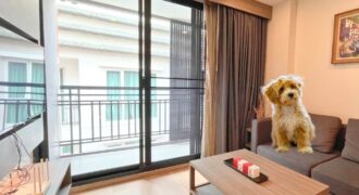 Pet-Friendly 1BR Condo for Rent in Thonglor – Low Rise Condo, Stylish, and Prime Location