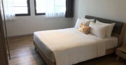 Pet-Friendly Condo for Rent 3-Bedroom in Asoke Area