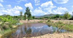 ขายที่ดิน หน้าน้ำ หลังเขา ใกล้บ้านธิ จ.ลำพูน สำหรับที่พัก รีสอร์ท หรือเพื่อการลงทุน