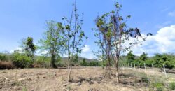 ขายที่ดิน หน้าน้ำ หลังเขา ใกล้บ้านธิ จ.ลำพูน สำหรับที่พัก รีสอร์ท หรือเพื่อการลงทุน