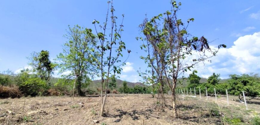 ขายที่ดิน หน้าน้ำ หลังเขา ใกล้บ้านธิ จ.ลำพูน สำหรับที่พัก รีสอร์ท หรือเพื่อการลงทุน