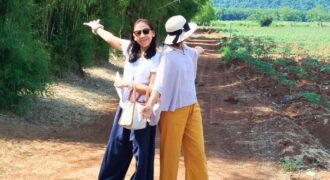 ขายด่วน!! ขายถูก! ที่ดิน เขาใหญ่ 8 ไร่ ไร่ละ 1.8 ล้าน ที่สวย ทำเลดี สาธารณูปโภคครบ